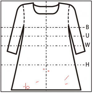 正面図