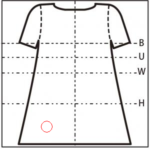 背面図