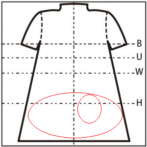 背面図