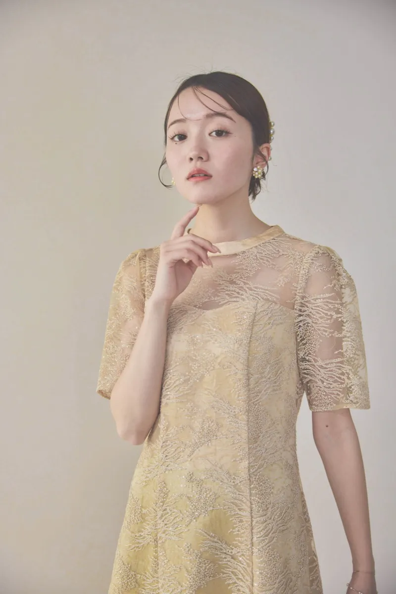 イエローのシャイニーエンブロイダリードレス M〜L/kaene