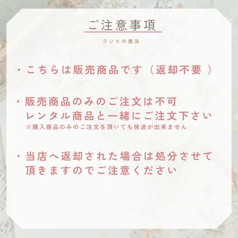 アネモネのご祝儀袋